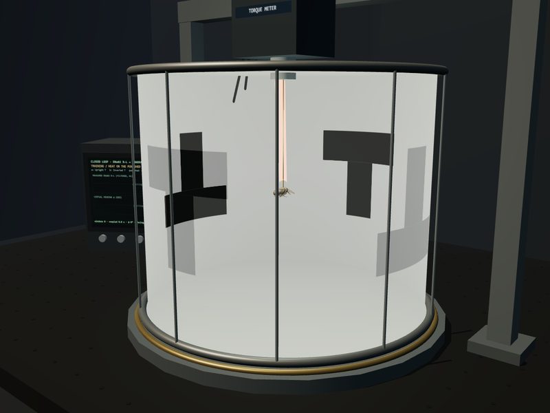 Flight Simulator: fly brain experiment scene