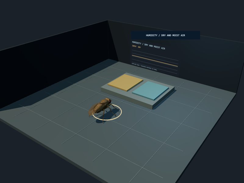 Humidity Bench: fly brain experiment scene