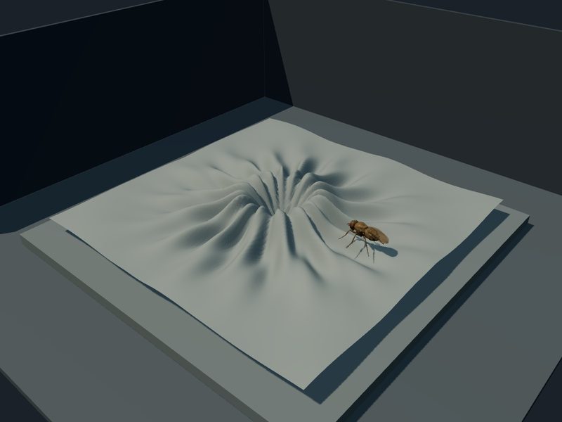 Synthetic Analprint Assay: fly brain experiment scene