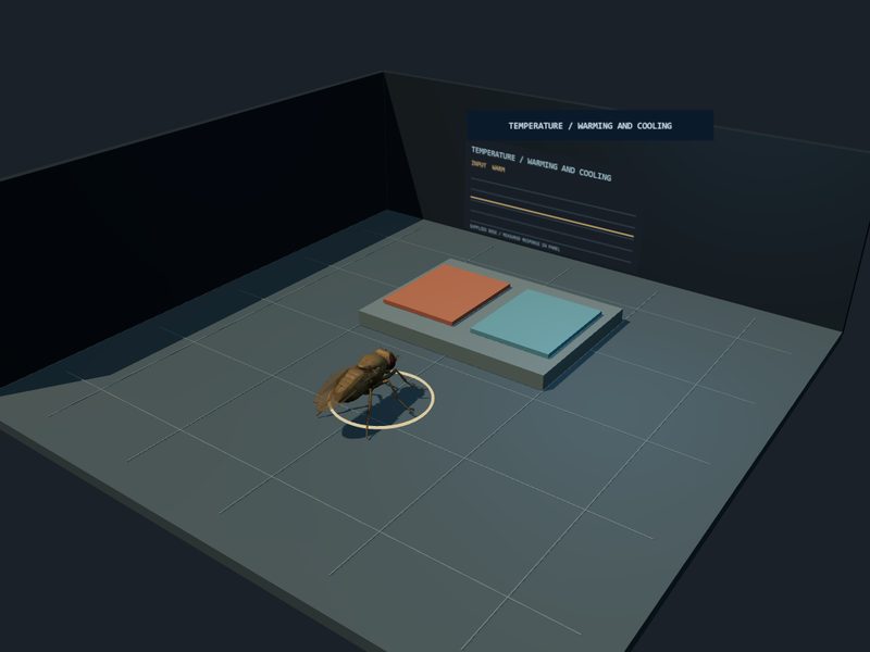 Temperature Bench: fly brain experiment scene
