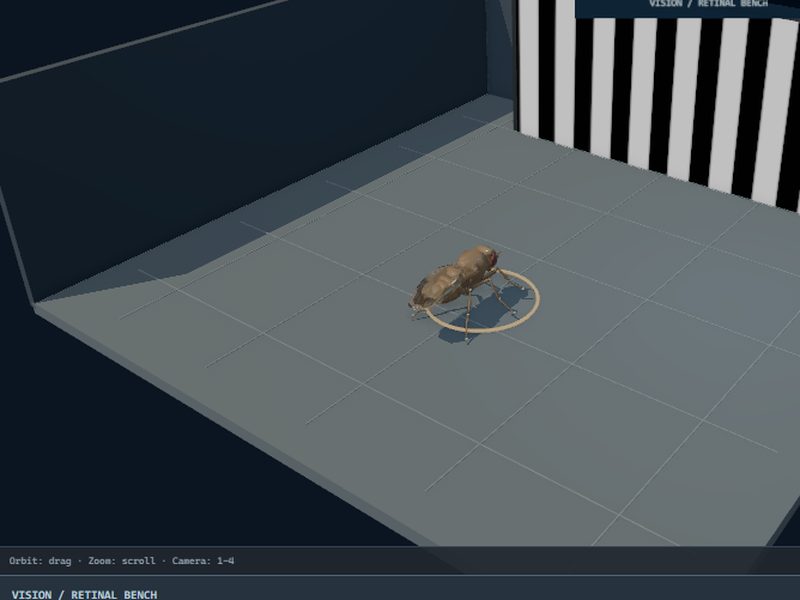 Retinal Bench: fly brain experiment scene